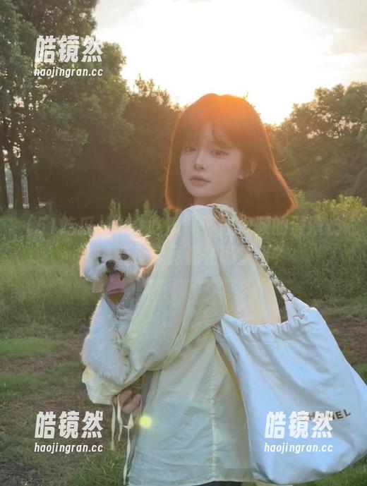 “51吃瓜”下载视频的漫漫长路：链接究竟躲在哪里呀？